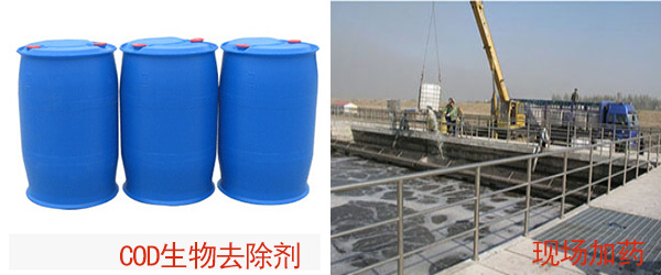 LX-401 COD生物去除劑